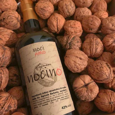 nocino_alcolici_spiriti